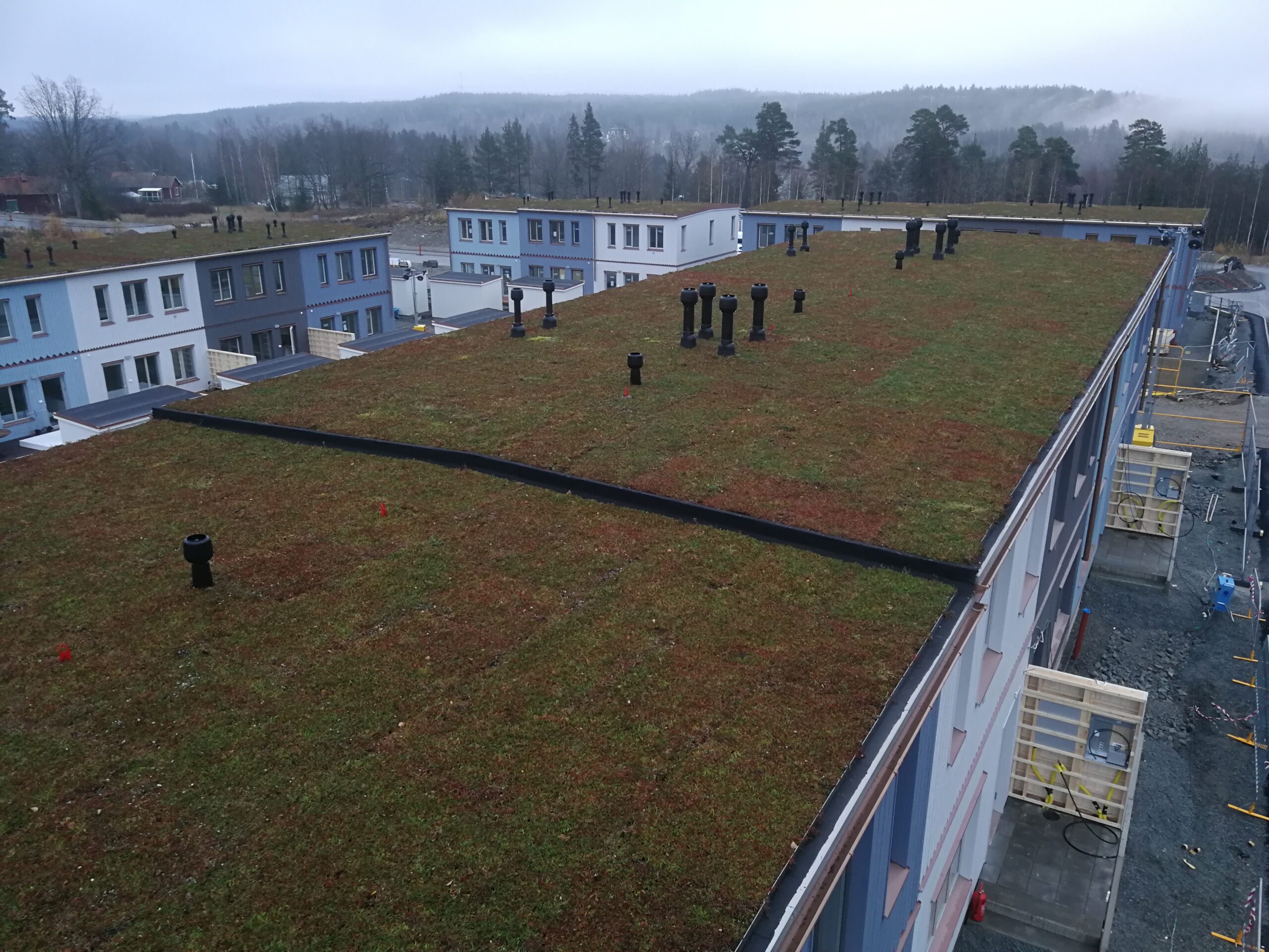 IMG 20191108 081519 Scaled